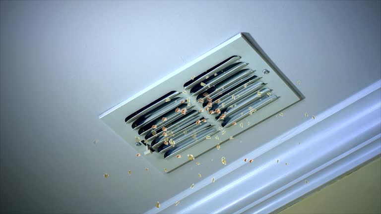 Best Affordable Duct Cleaning Services  in Camp Hill, AL
