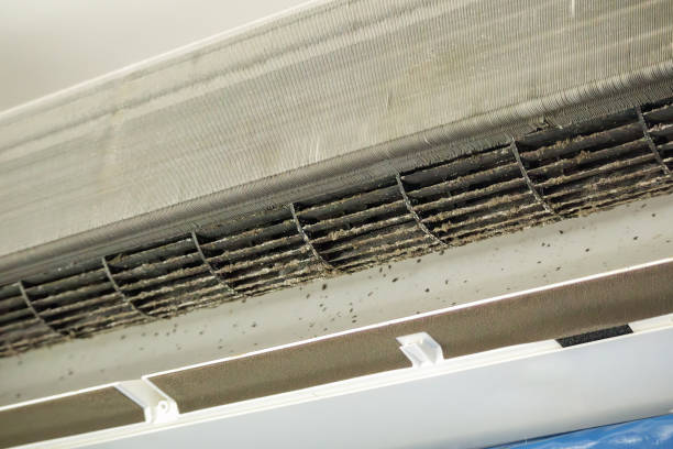 Best Emergency Air Duct Cleaning  in Camp Hill, AL